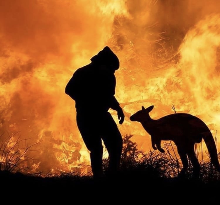 La tragedia de los incendios en Australia
