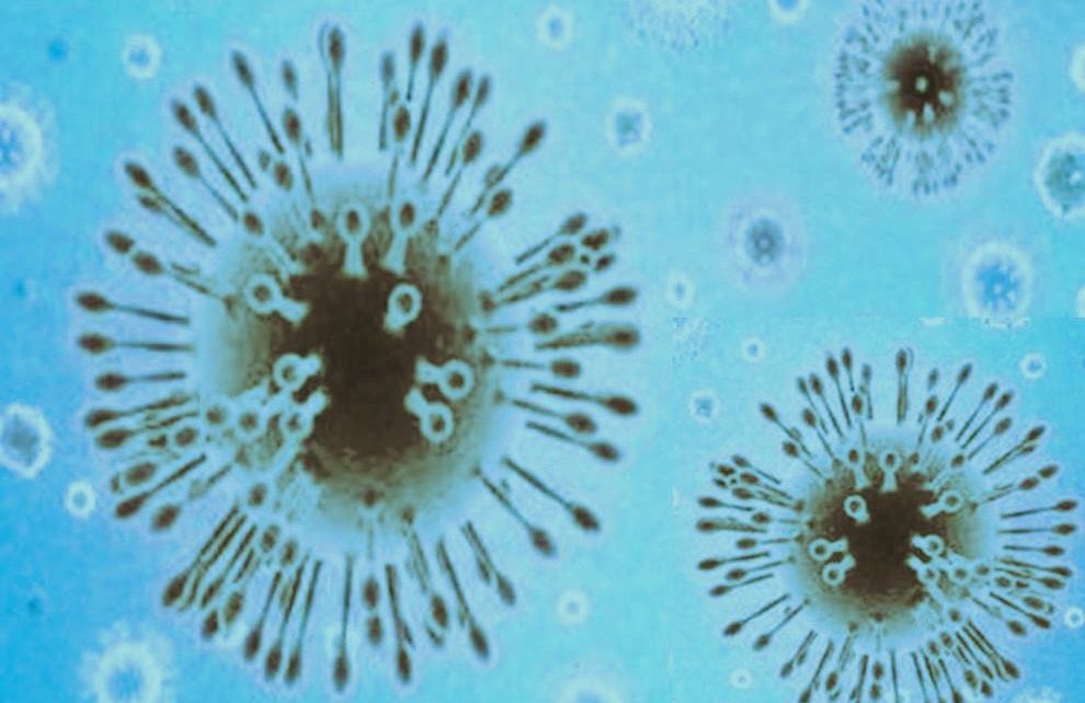 Cuánto tiempo vive el coronavirus en las superficies