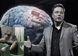 Neuralink de Elon Musk es acusada de maltrato animal 