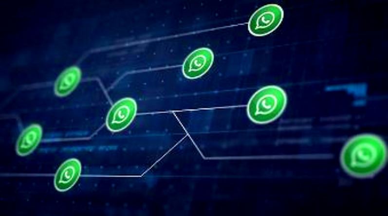 Cómo evitar que WhatsApp guarde fotos en iPhone y Android