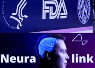 La FDA prohíbe a Elon Musk y su empresa Neuralink realizar pruebas en humanos